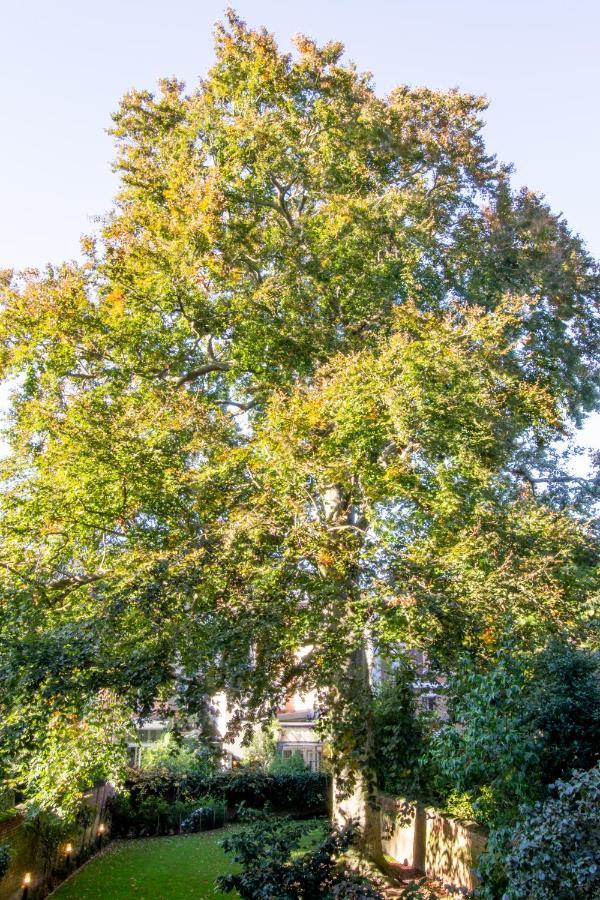 The Old Beech Bed and Breakfast Αμβέρσα Εξωτερικό φωτογραφία